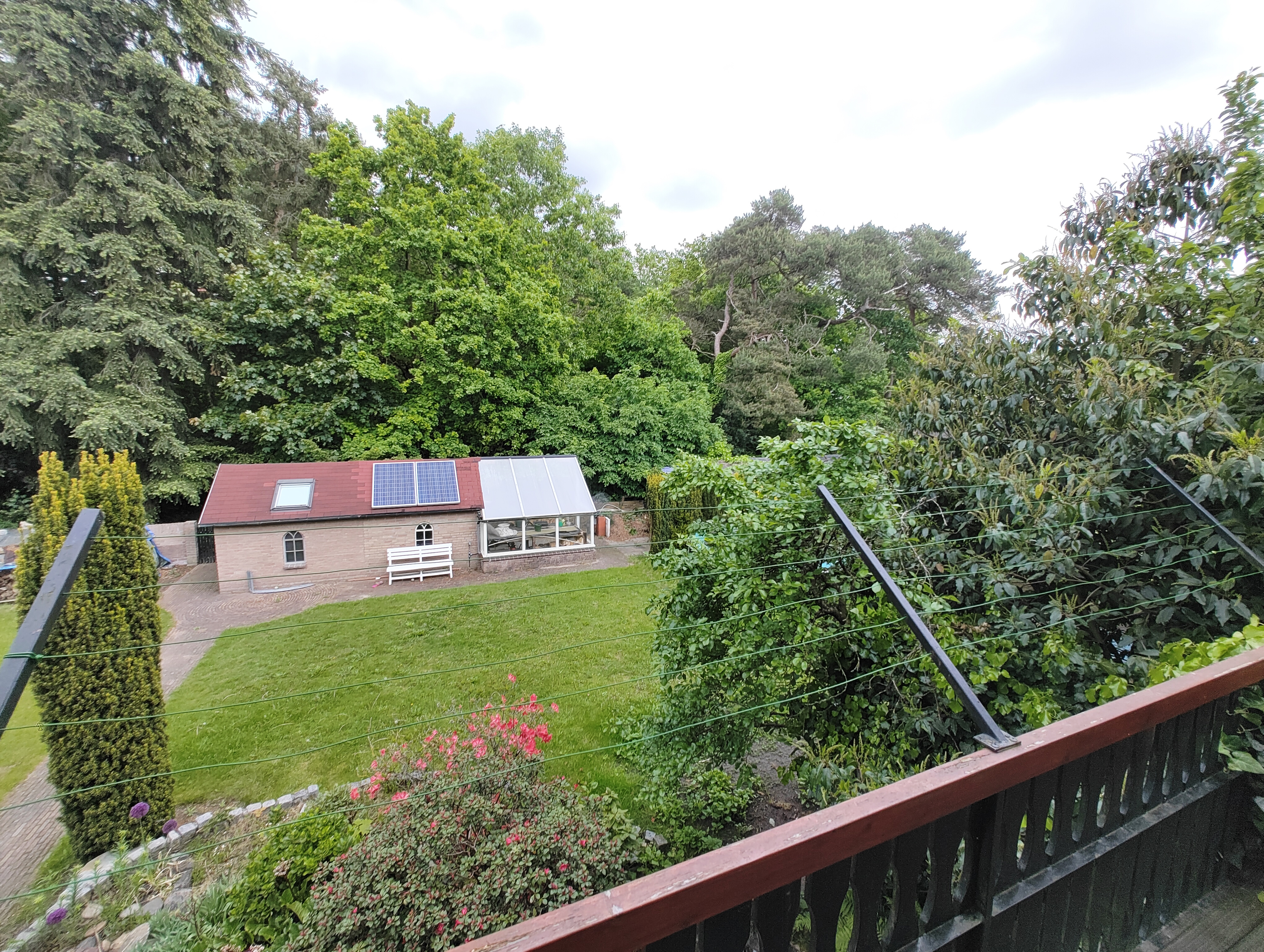 Tuin 4